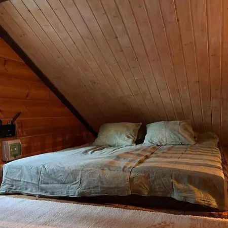 Villa Tunnelmallinen Ilmastoitu Jaervenrantahuvila